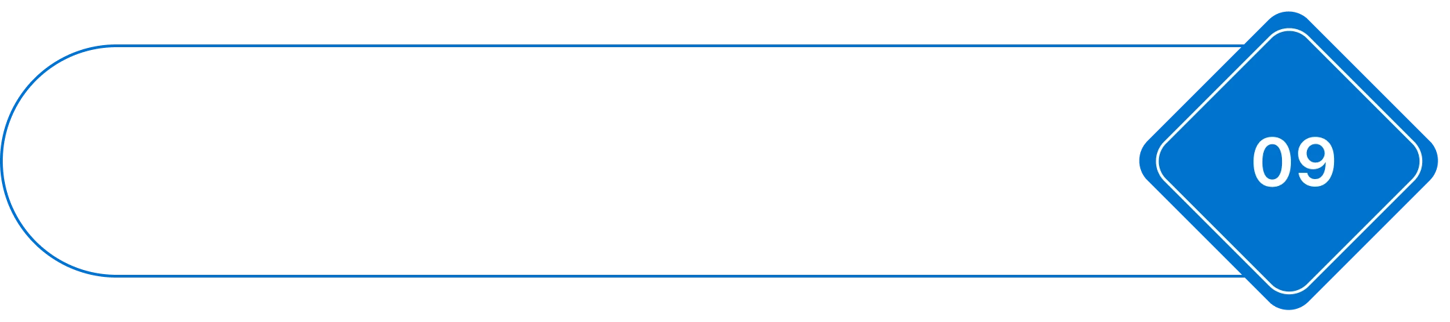 09